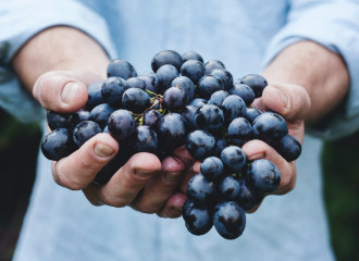 Tast de vins d'altura